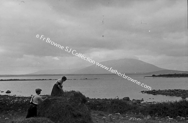 HAY MAKING NEAR LOUGH CONN